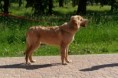 /album/fotogalerie-alf/alf-predani-pp-jpg/